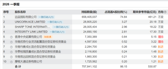 宏和科技Q1十大股东